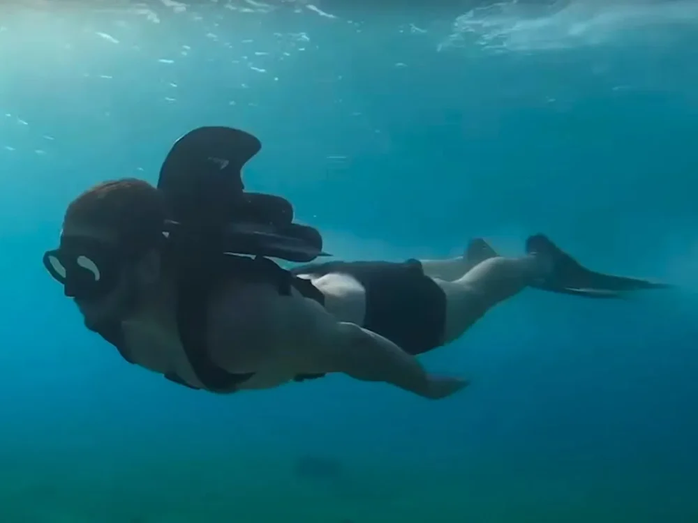 KikFin Pro