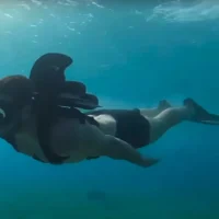 KikFin Pro
