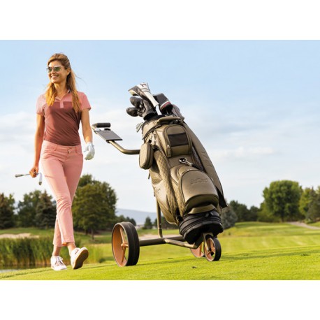 Тележка JuCad Carbon Travel Verde Rose 2.0